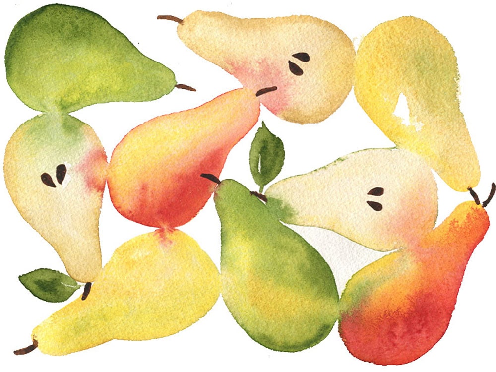 How to Paint Pears in Watercolour watercolor tutorial for beginners