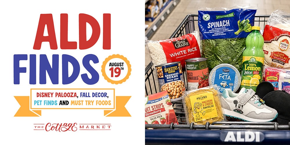 ALDI Finds for August 19, 2026 with Disney favorites fall decor pet finds kitchen goodies seasonal foods and an easy vegetarian dinner