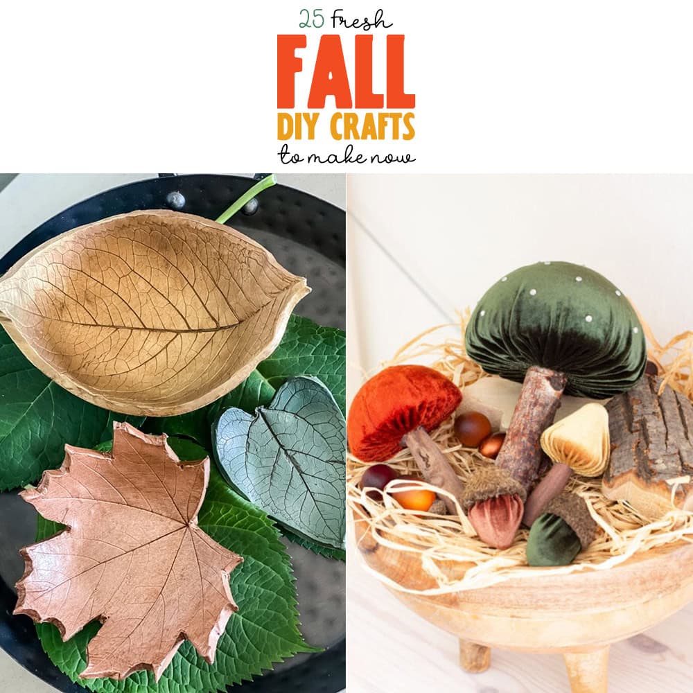 25 Fresh Fall DIY Crafts To Make Now! from The Cottage Market