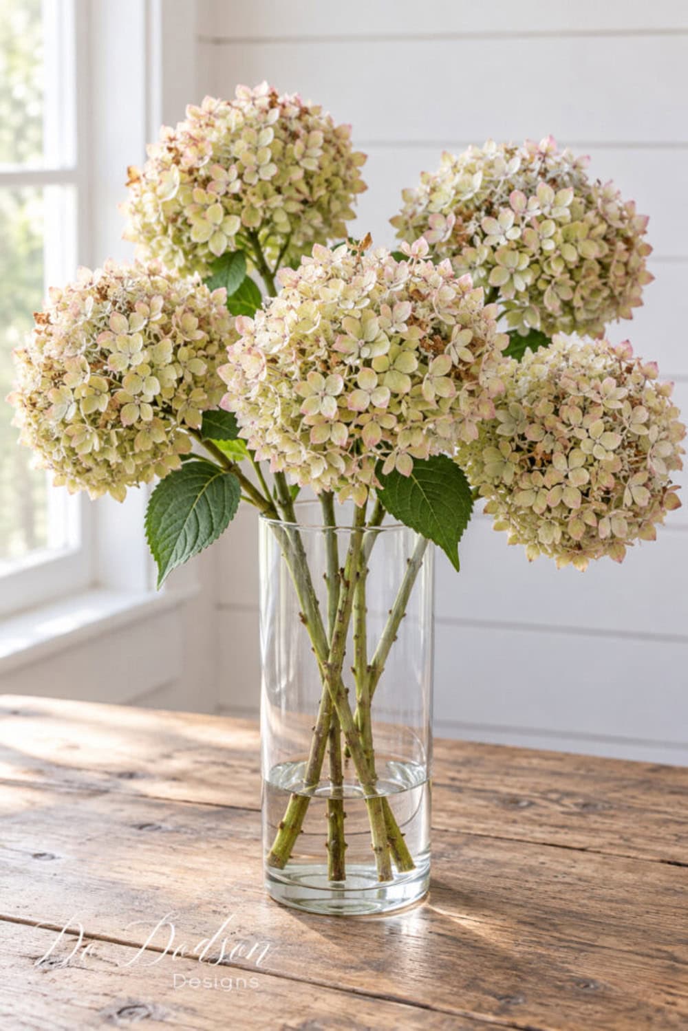 Dry Hydrangeas for Fall Decorating featured in The Cottage Market Saturday Collection