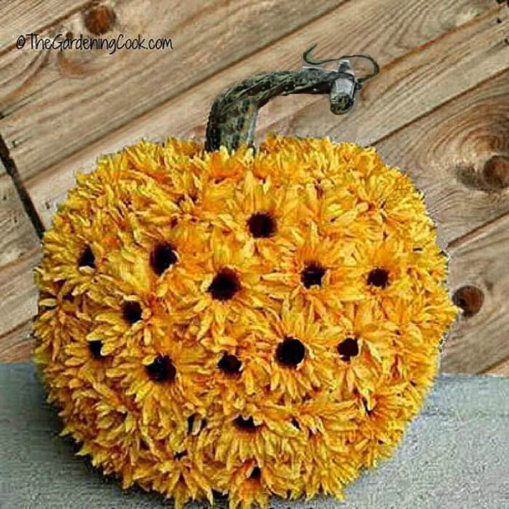 Sunflower Pumpkin by The Gardening Cook