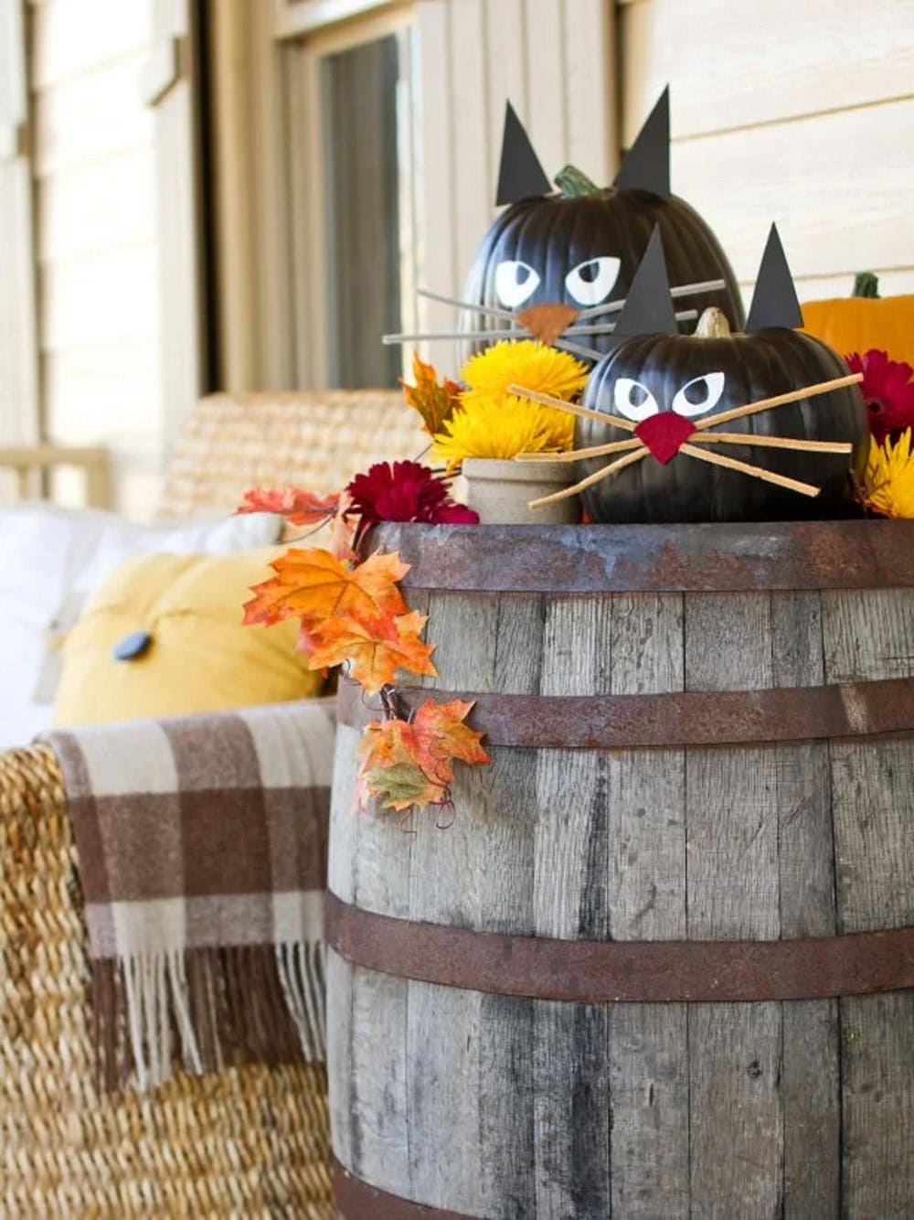 Black Cat Pumpkins by HGTV