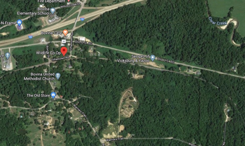MS Woman Tashekia Scott ID'd As Victim In Fatal Overnight Vicksburg