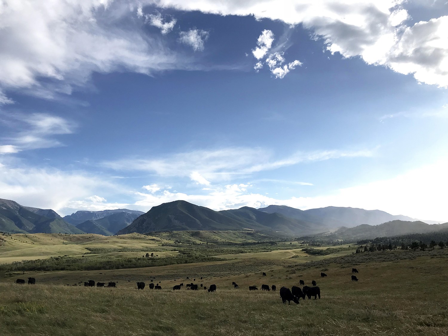 As a rancher, I fed people while caring for my land. I wasn't feeding