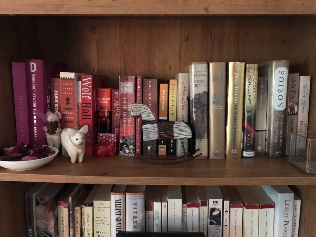 Favorite Books The Count of Many Stitches