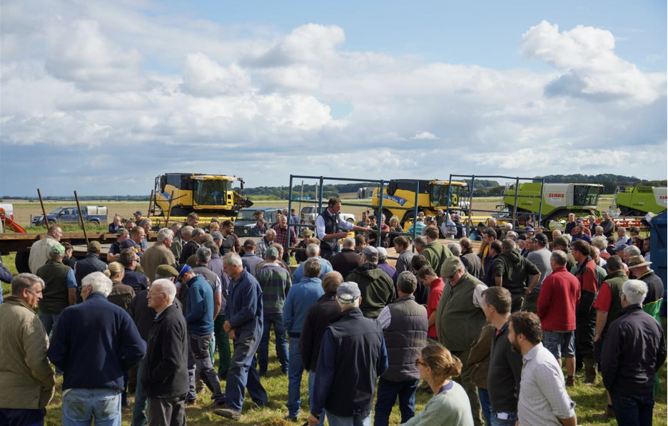 Symonds and Sampson reports on its largest dispersal sale of the year