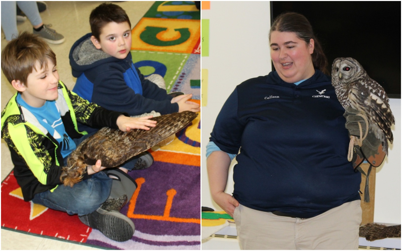 Owls visit secondgraders at Houlton Elementary School The County