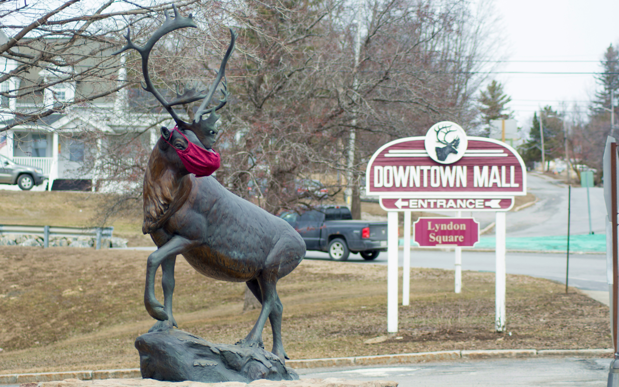 Caribou lowers tax rate by one mill The County