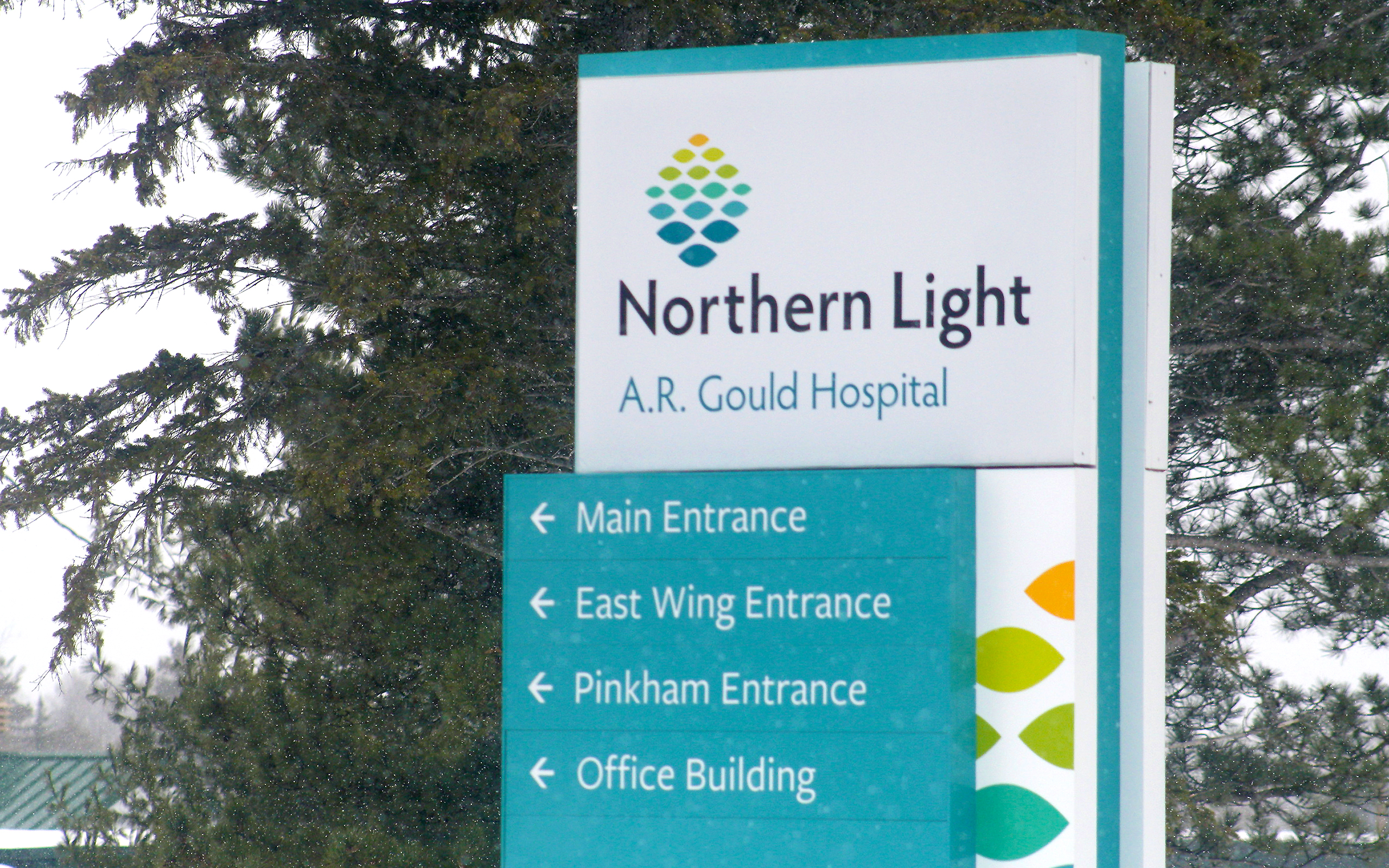 Having fun and staying safe on Halloween The County