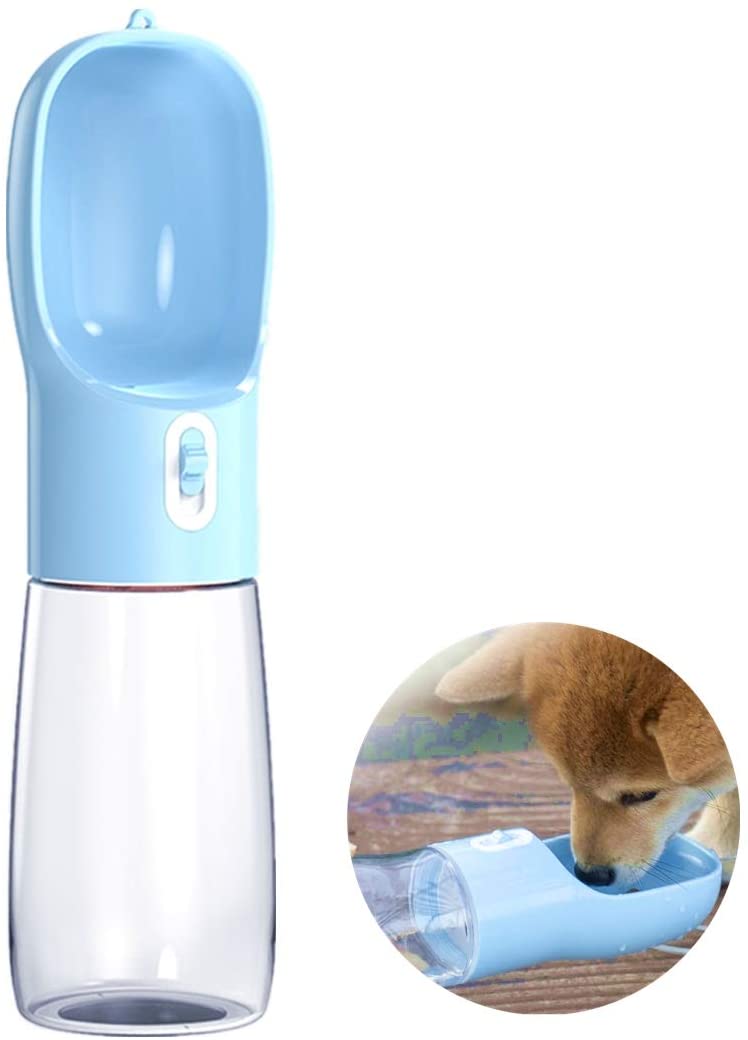 Amazon.com: portable water for dog
