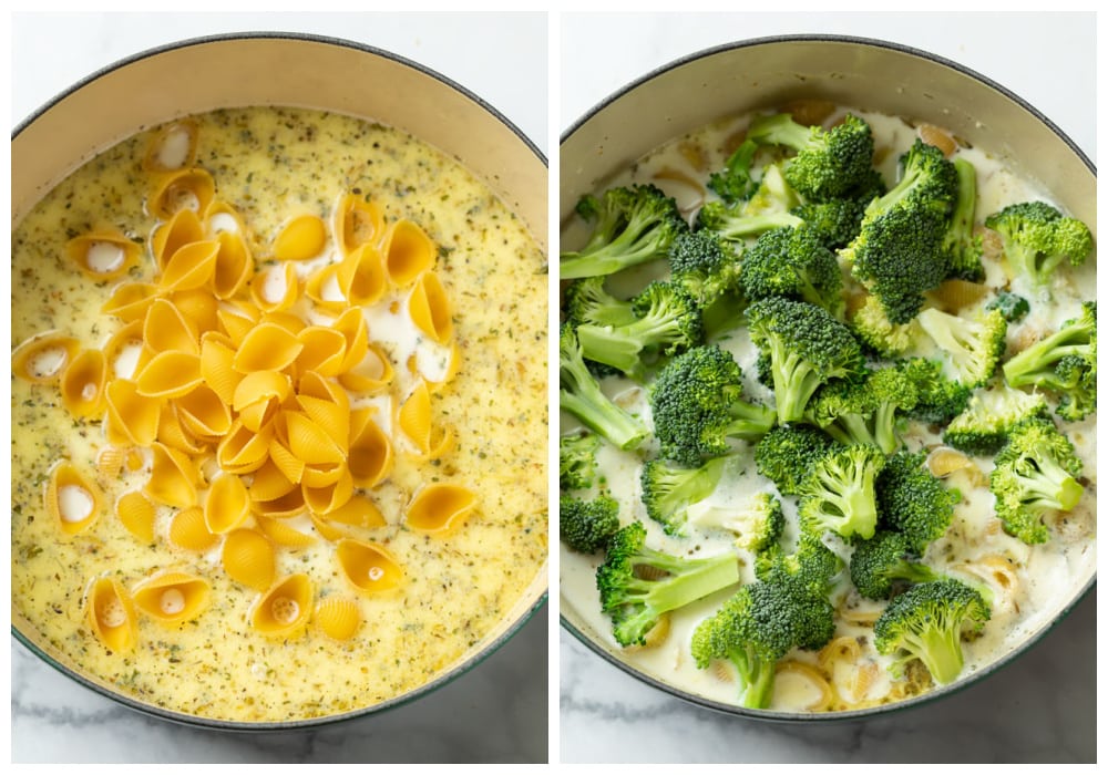 Creamy Broccoli Pasta One Pot! The Cozy Cook