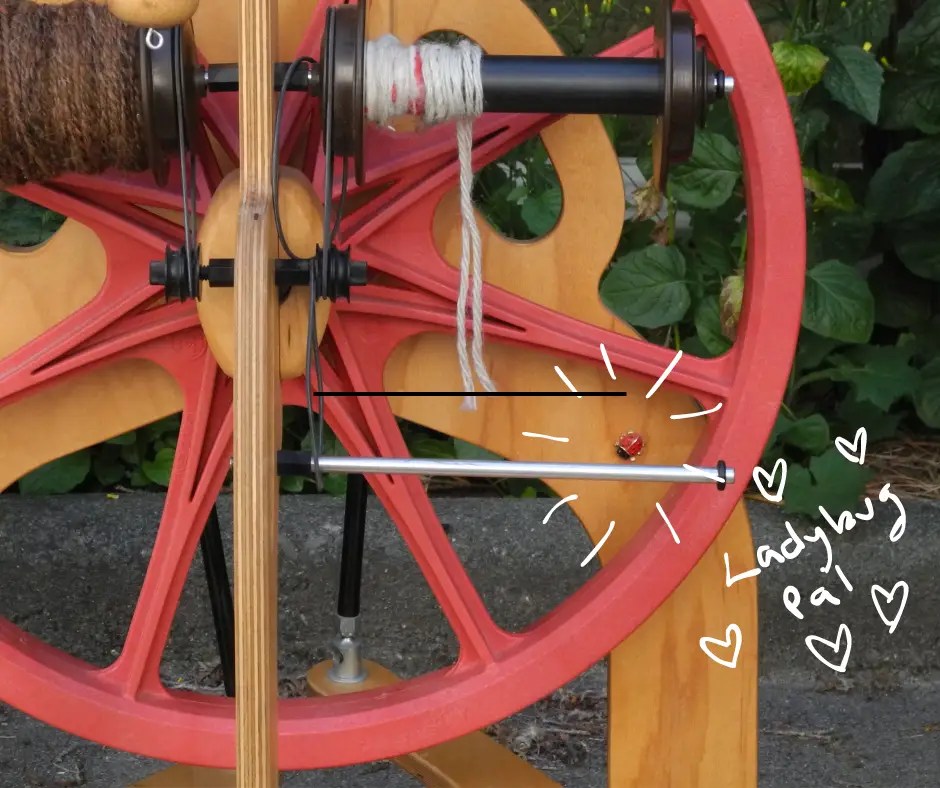 Schacht Ladybug Spinning Wheel A beginner Spinner's review The Cozy