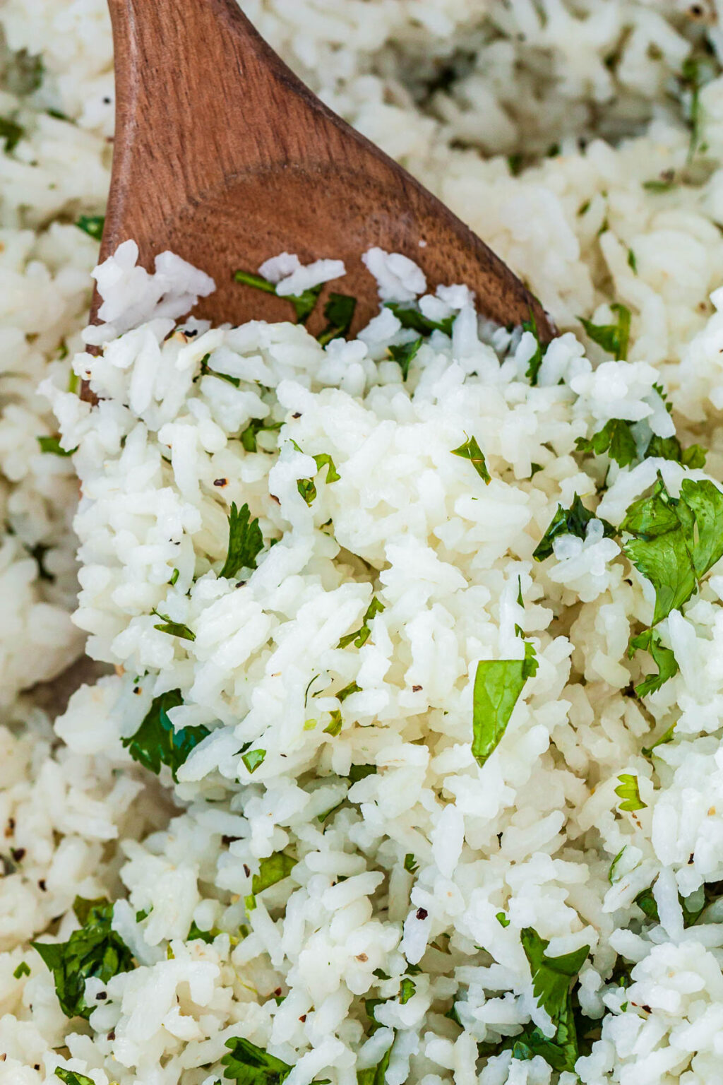 Cafe Rio Cilantro Lime Rice Recipe (Copycat) The Cozy Fork