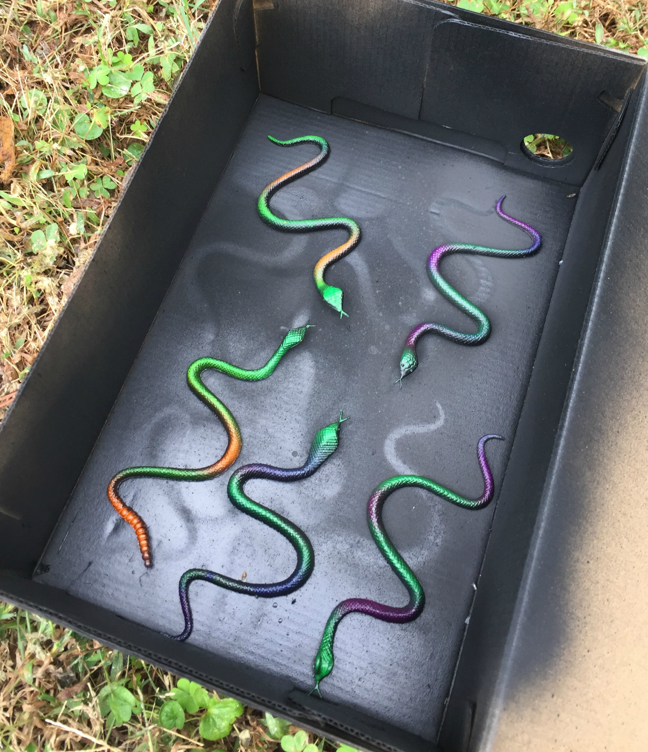 plasticsnakes The Craft Crib