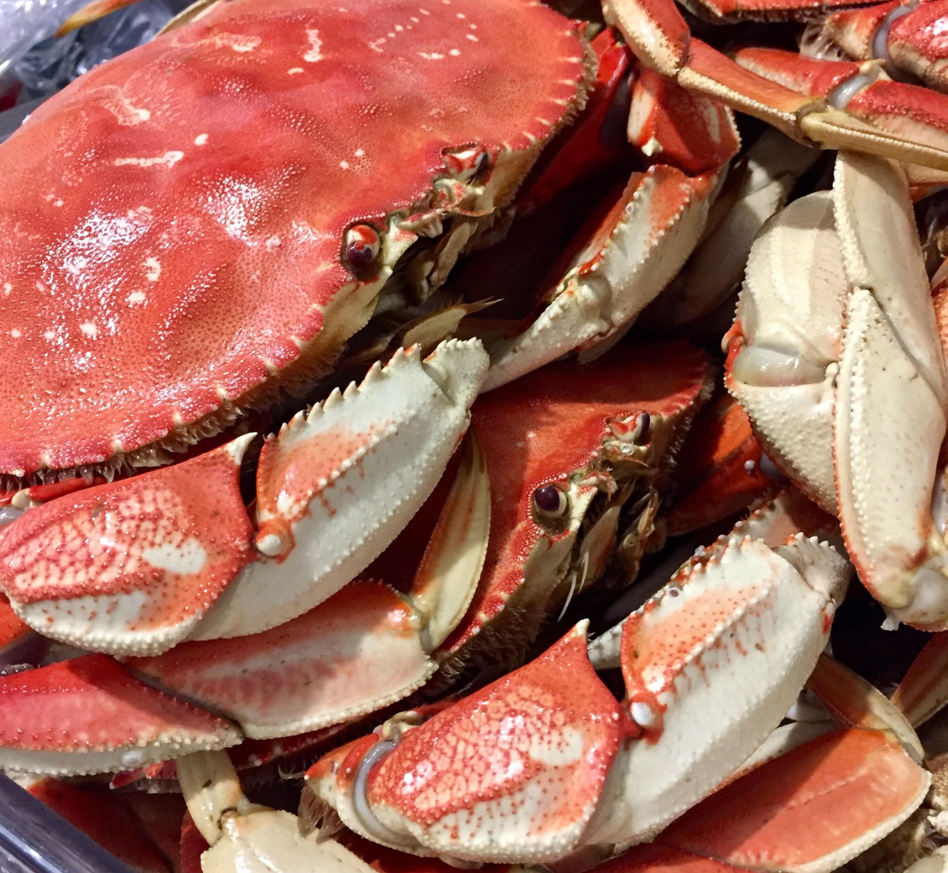 Olympia Seafood Co. at Craft District Tumwater, WA