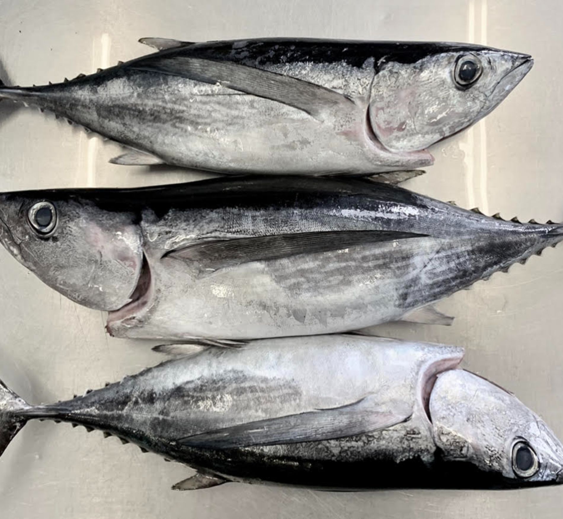 Olympia Seafood Co. at Craft District Tumwater, WA