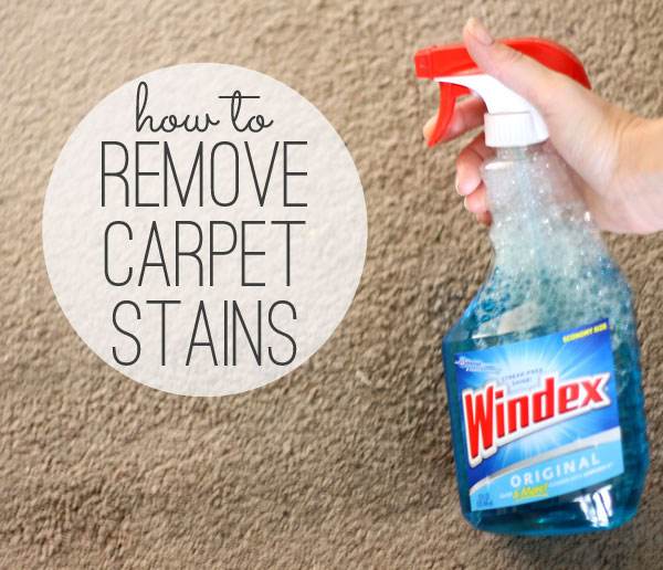 The Top 15 Cleaning Tips & Tricks The Crafting Chicks