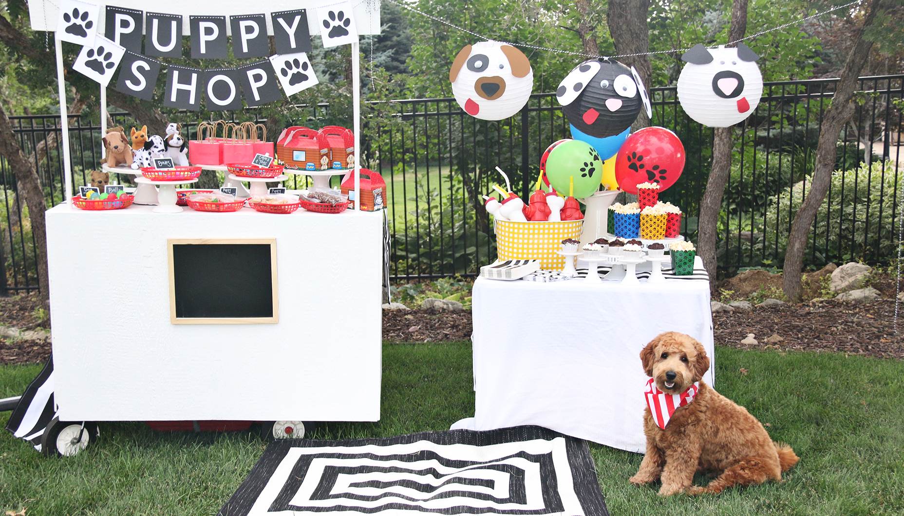 Puppy Party Ideas The Crafting Chicks