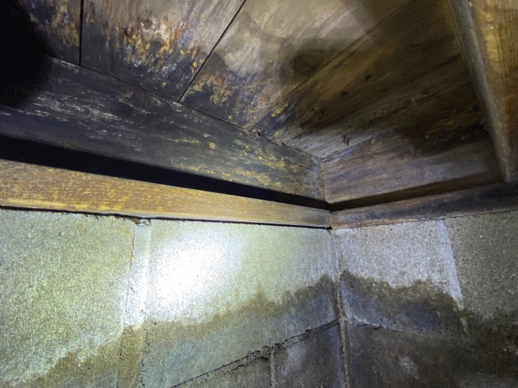 Crawl Space Mold Treatment Indiana