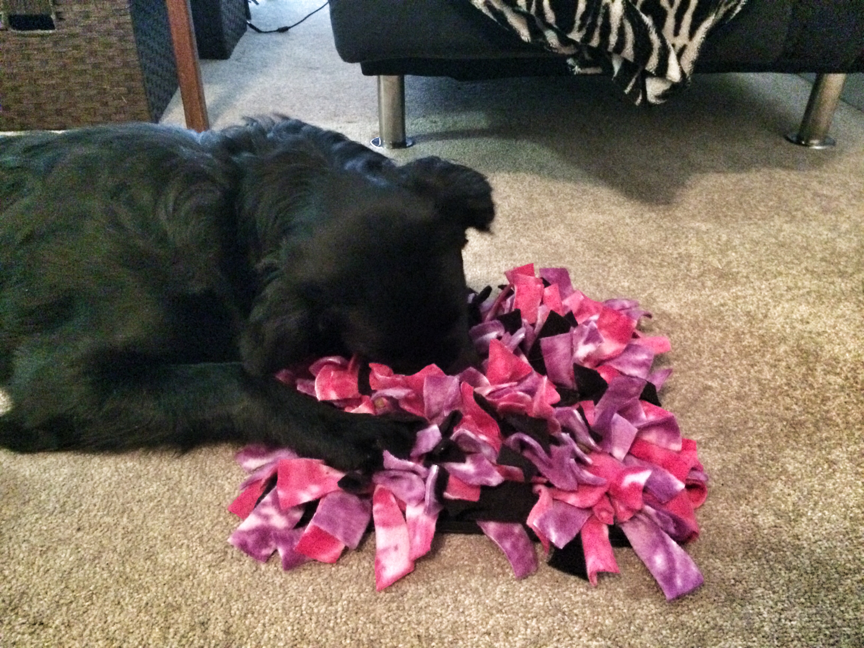DIY Snuffle Mat The Crazy Dog Mom