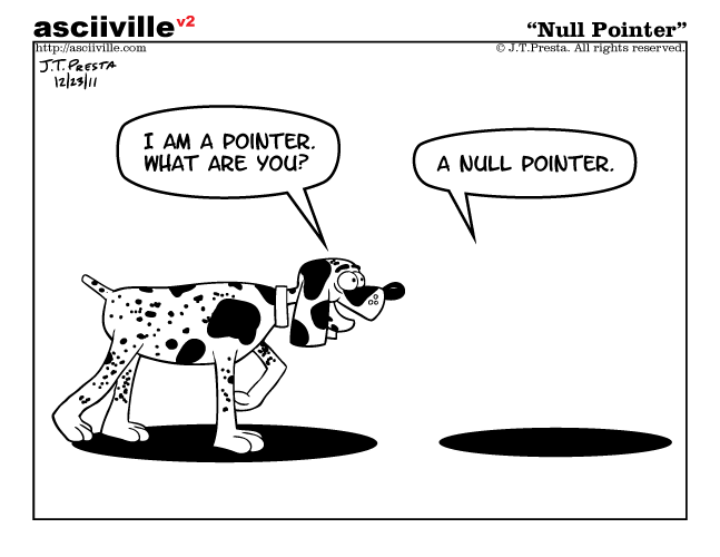 Null Pointer in C The Crazy Programmer