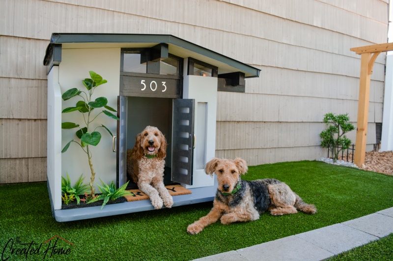 How to make a dedicated dog yard featuring artificial grass turf The