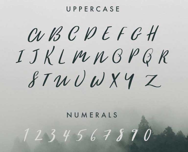 The Woodlands Free Font The Creative Bits