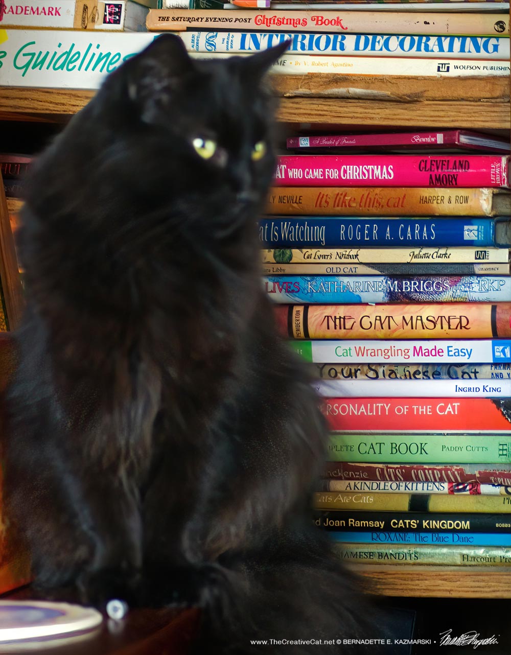 Daily Photo Hamlet in the Cat Books The Creative Cat