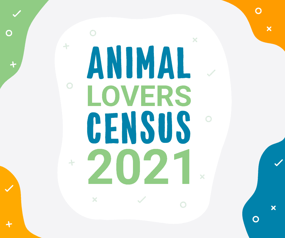 RSPCA Pet Census Campaign The Creative Foundry