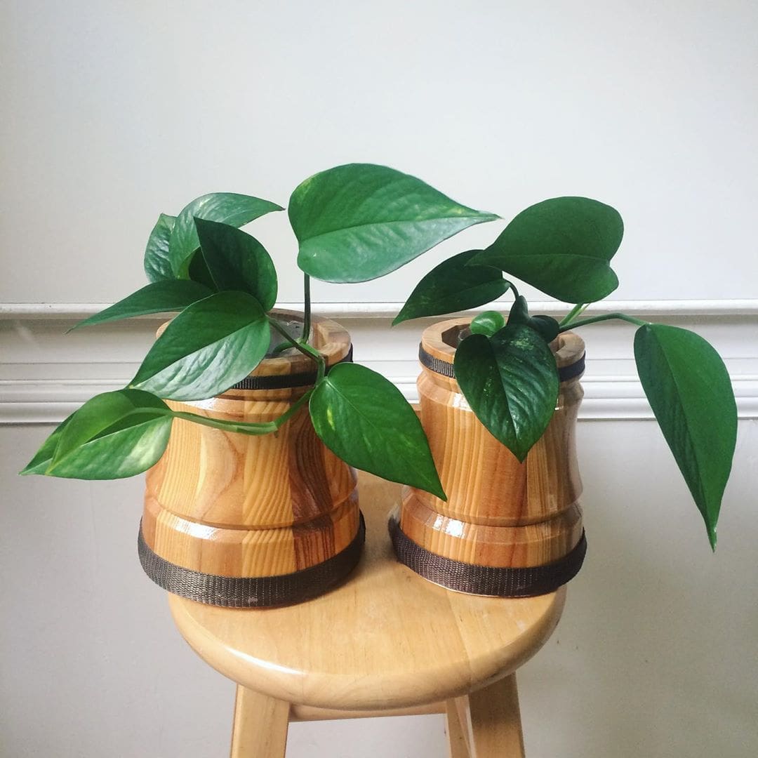 30+ DIY Plant Stand Ideas for Indoors & Outdoors