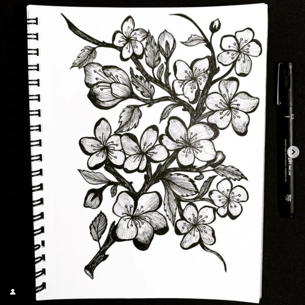 How To Draw A Cherry Blossom Tree In Pencil