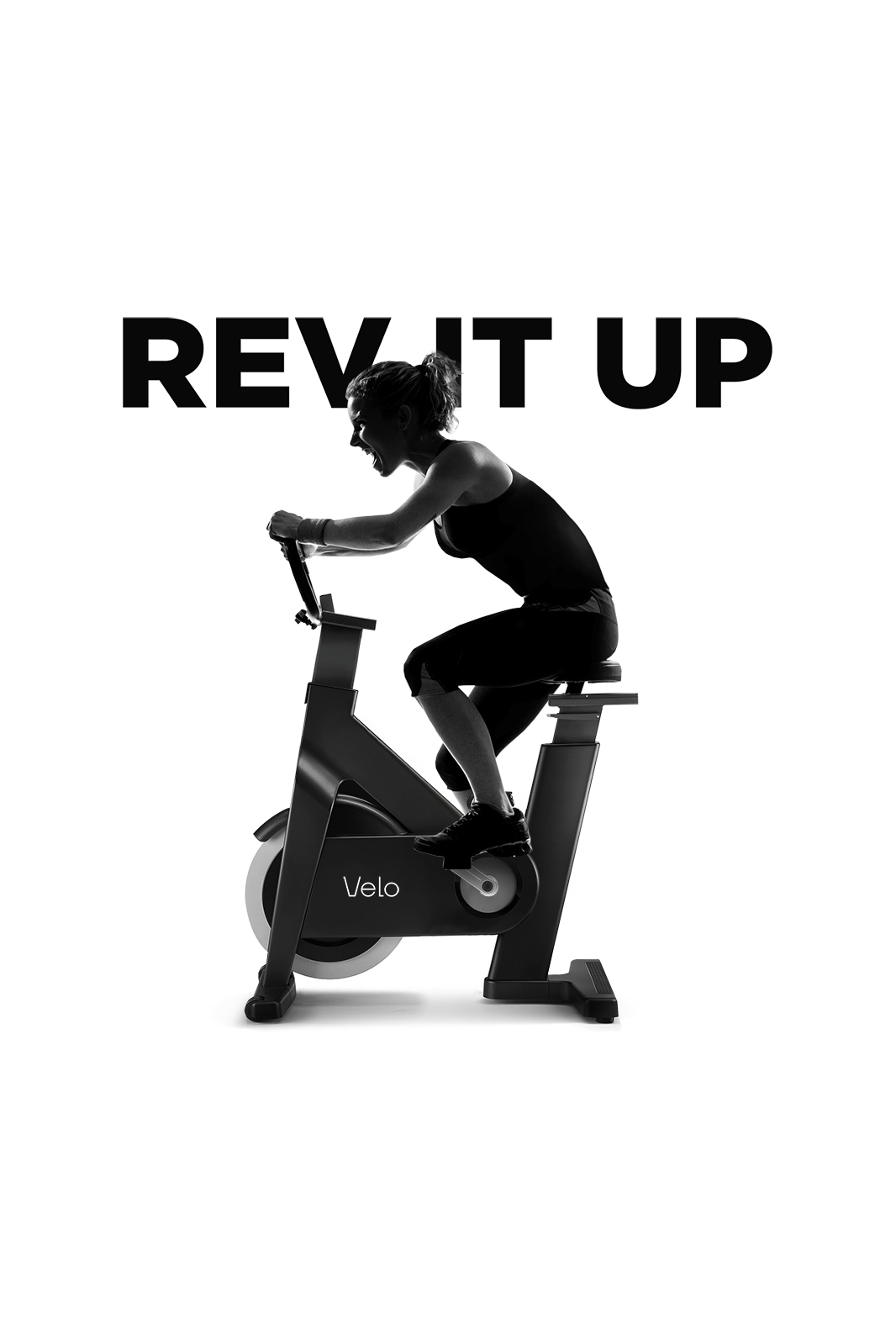 Velo The Creative Union