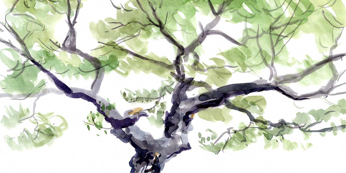 About The Crenshaw Academy