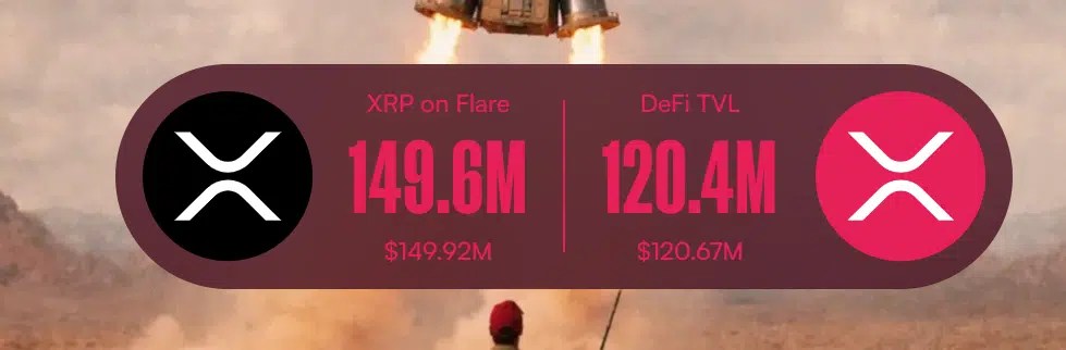 FXRP Current Stats FXRP Current Stats
