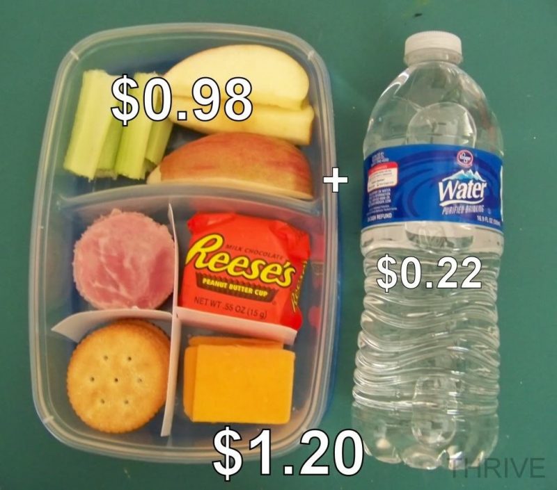 Cost Effective Lunchables! The CSI Project