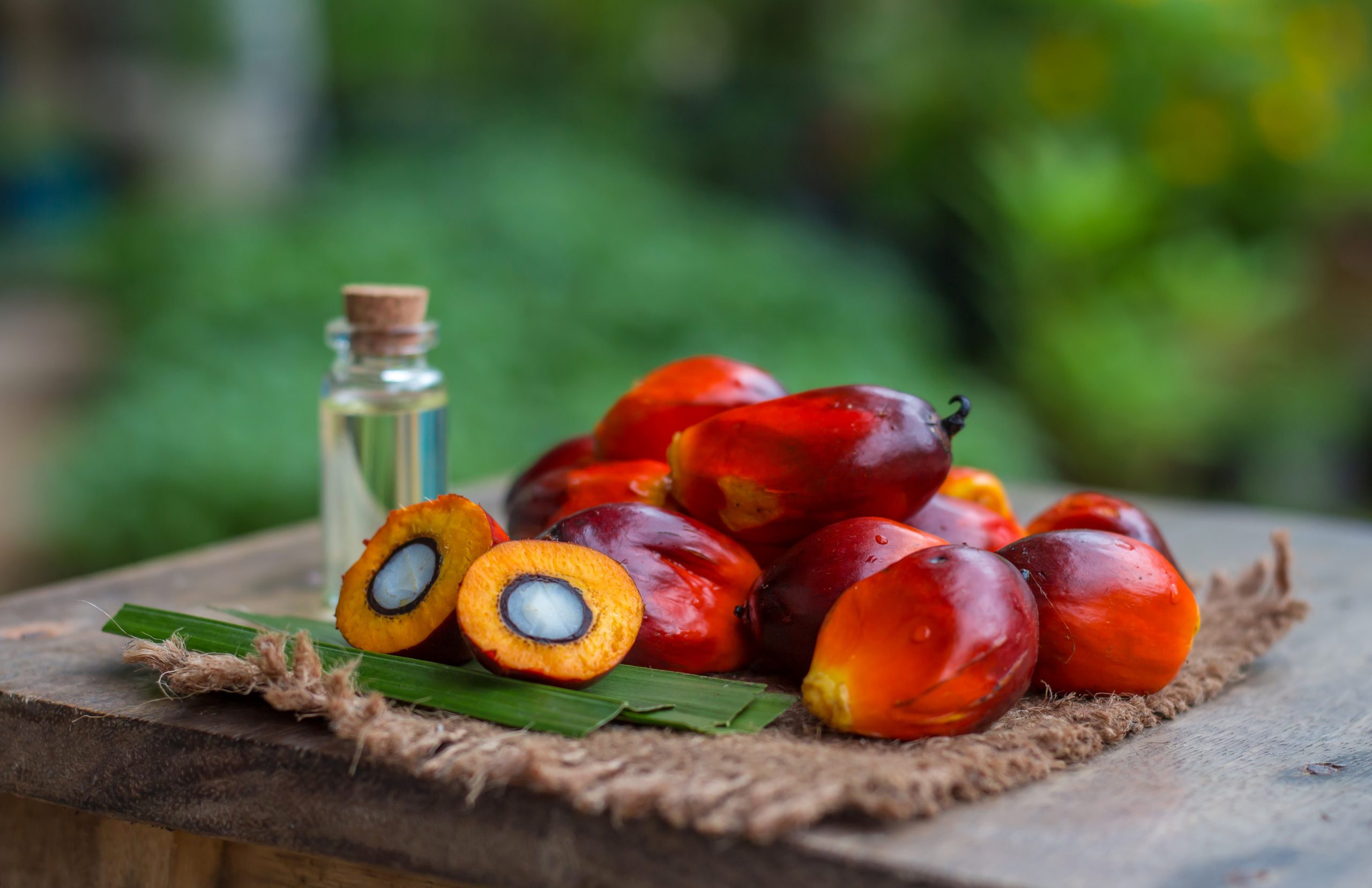 Palm oil not the evil we think it is — CSPO
