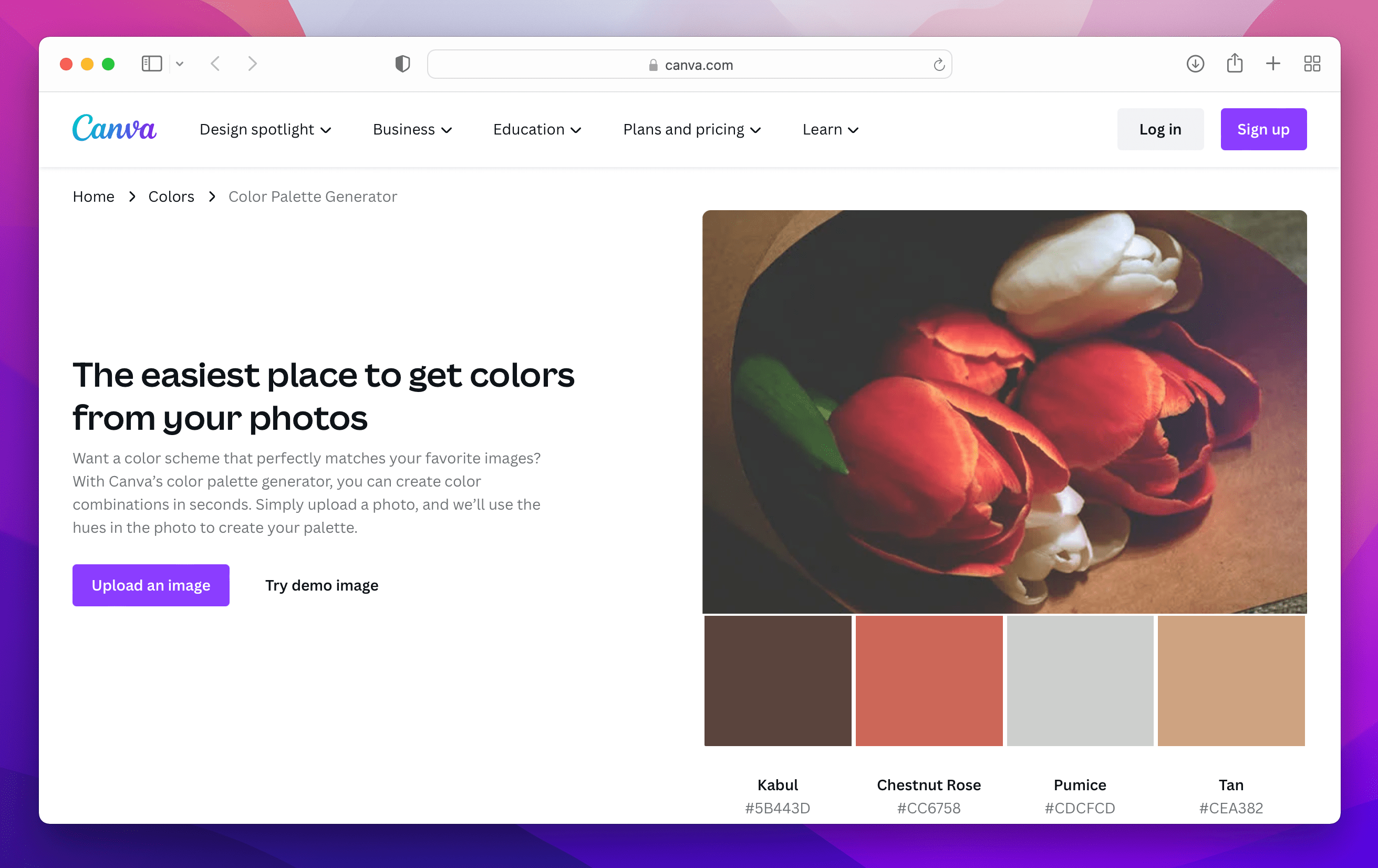 Our favourite tools for creating color palettes