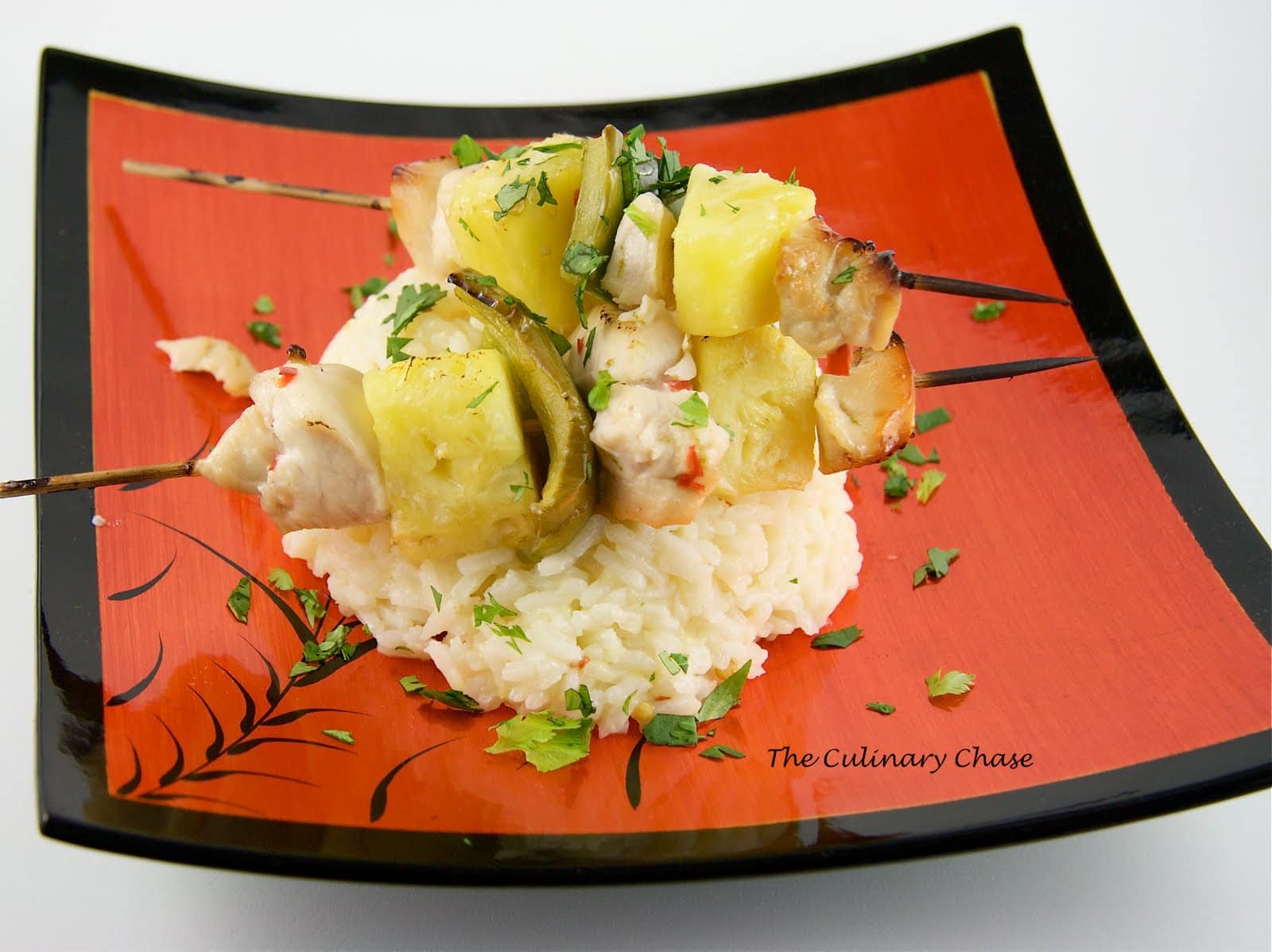 Coconut Marinated Chicken Kebabs The Culinary Chase