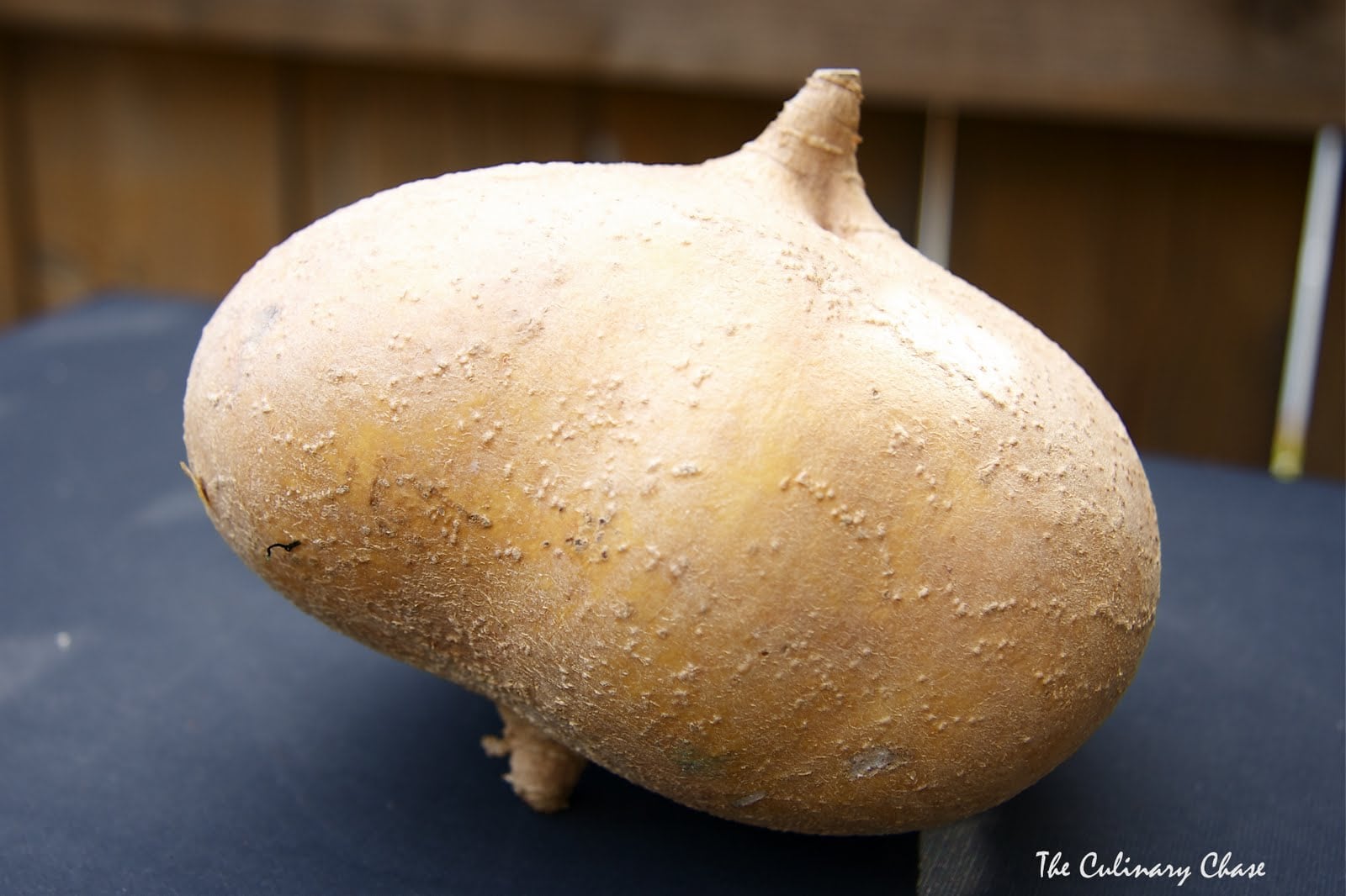 Jicama Salad The Culinary Chase