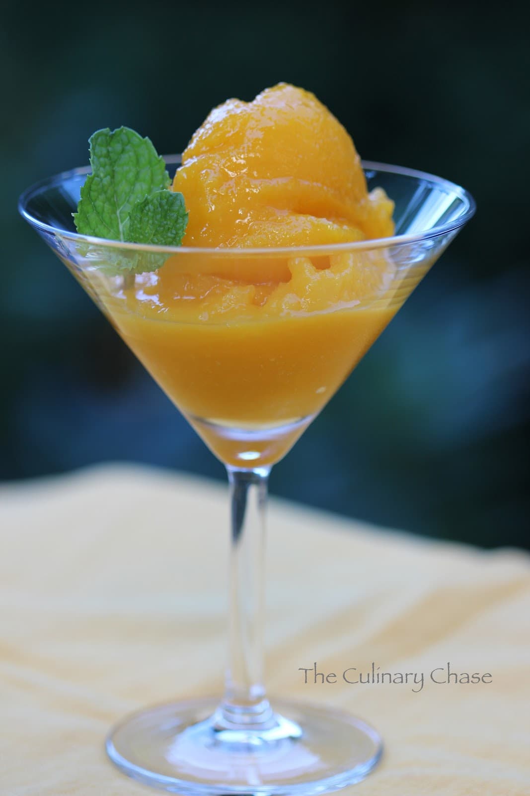 Mango Sorbet an ode to summer! The Culinary Chase