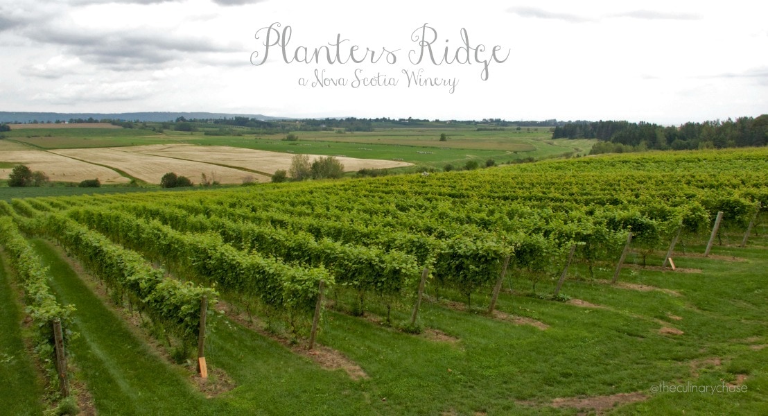 Planters Ridge a Nova Scotia Winery The Culinary Chase