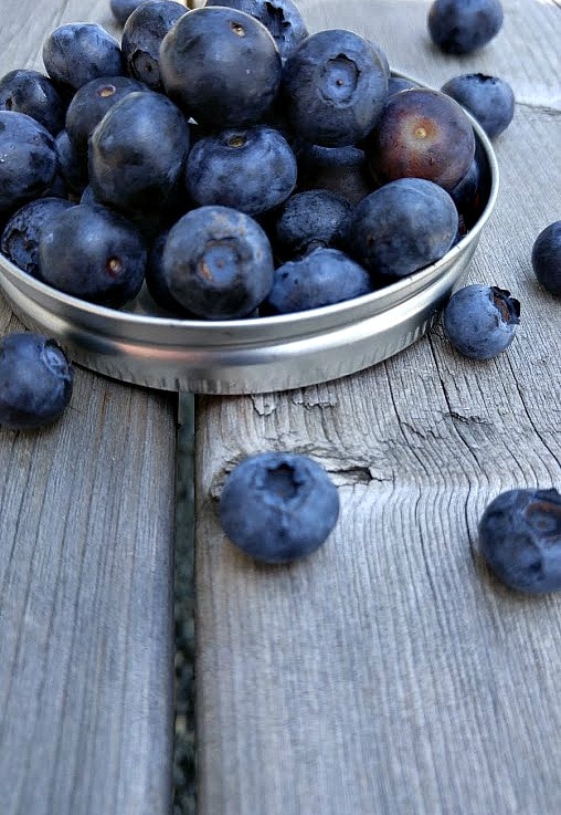 blueberryblackberry fool The Culinary Chase