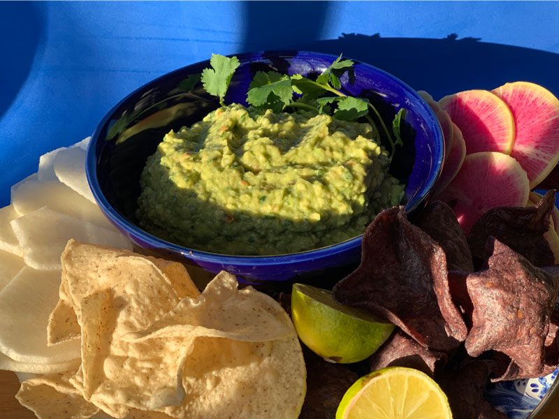 Holy Mole Guacamole with CBD Food as Medicine The