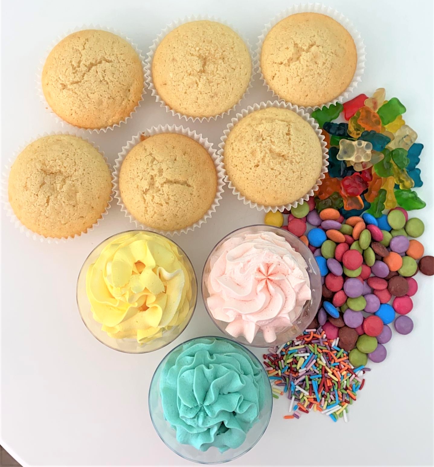 Classic Cupcake Decorating Kit The Cupcake Princess