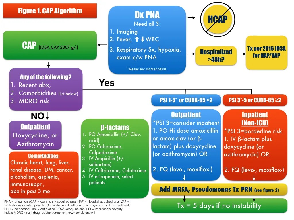 Cap Vs Hap Guidelines HAP/VAP 2016 ATS/IDSA Guidelines. Our Data