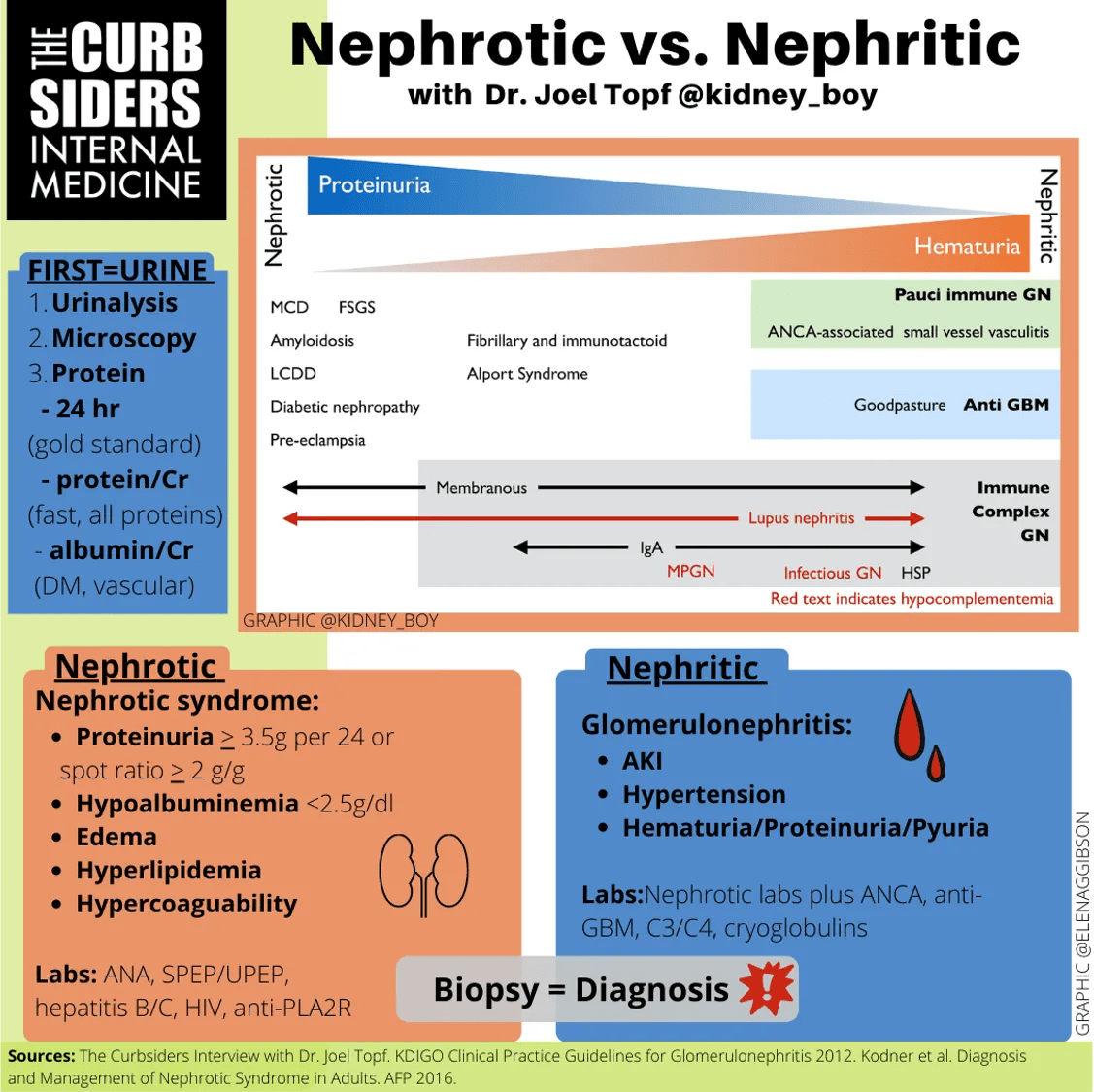 258 Tales from the Curbside Nephrotic Syndrome, Smoking Cessation