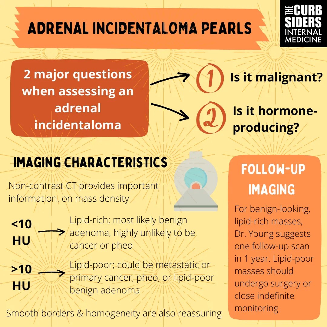 377 Adrenal Incidentalomas with Dr. William Young The Curbsiders