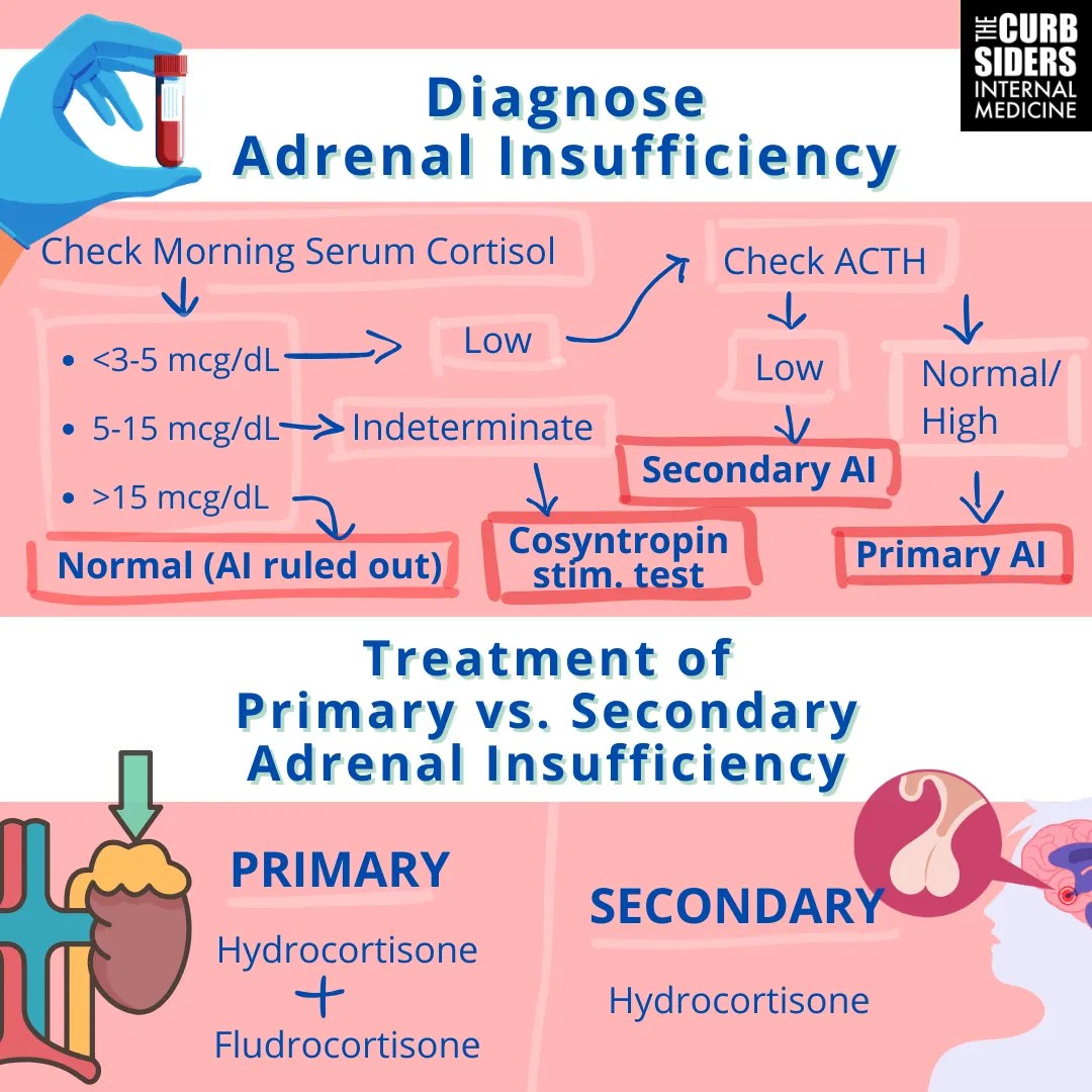 411 Adrenal Insufficiency with Dr. Atil Kargi The Curbsiders