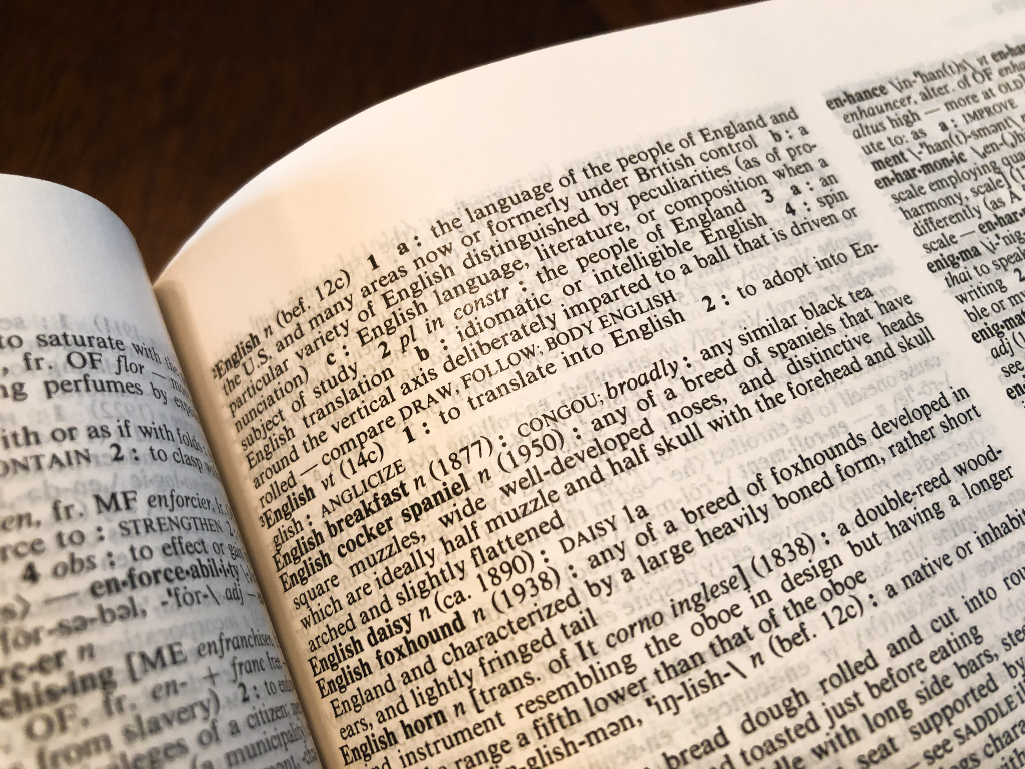 Why Is English So Weird? The Current