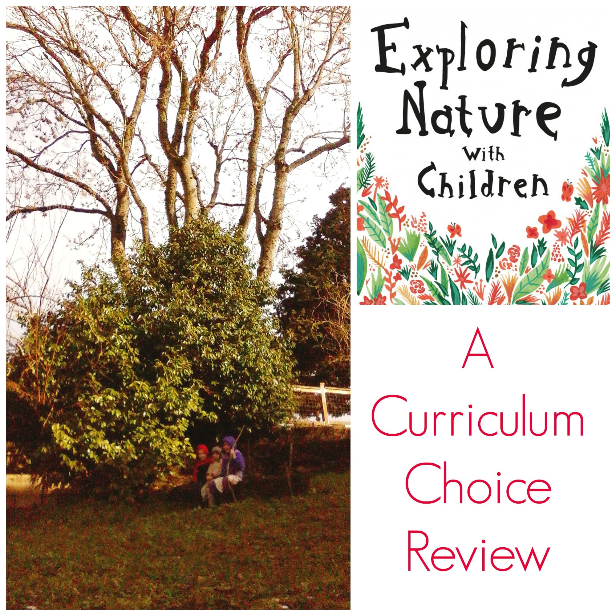Exploring Nature with Children The Curriculum Choice